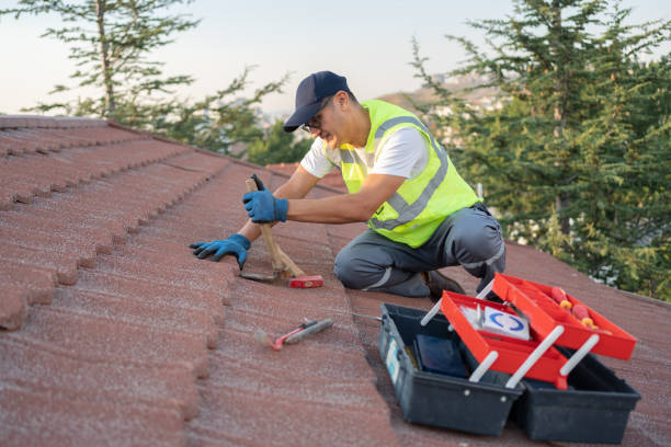 Best Gutter Installation and Roofing  in Rosemont, CA